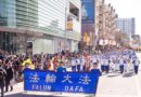 Флашинг, Нью-Йорк. Групу Фалунь Дафа тепло вітали на параді, присвяченому китайському Новому році